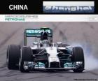 Nico Rosberg - Mercedes - 2014 Çin Grand Prix, gizli bilgi 2.